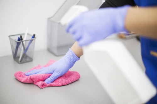 Cleaner Finchley professional cleaning service in a home environment