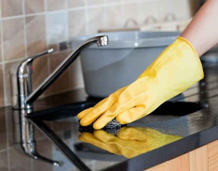 Professional pet stain and odour removal service for a Finchley carpeted home