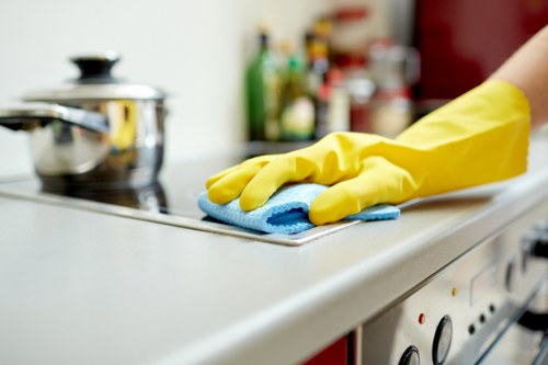 Living room tenancy cleaning in Finchley with attention to floors and skirting boards