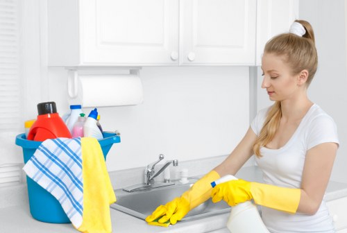 Detailed cleaning of a kitchen oven and door glass