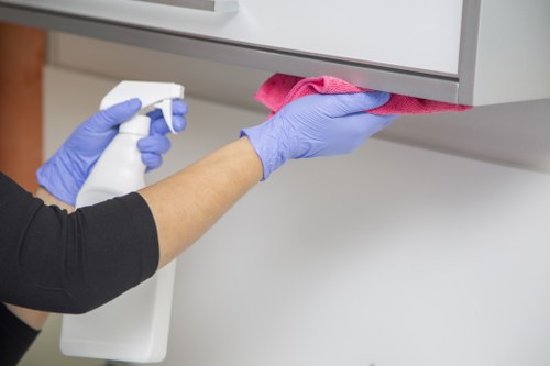 Kitchen and bathroom upkeep during a regular cleaning visit